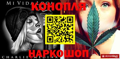 стафф Краснознаменск